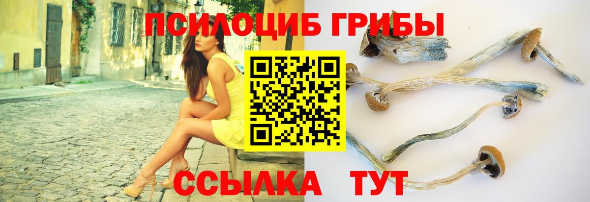цена   Вход с VPN  Волгодонск  Галлюциногенные грибы ЛСД  Галлюциногенные грибы GOLDEN TEACHER 